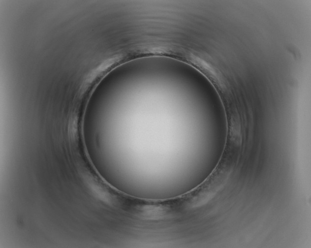 X0000114410394200910161211