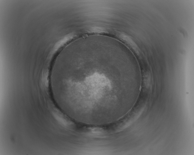 X0000114410395200910161211
