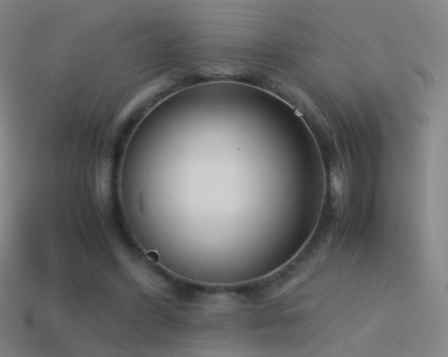X0000114410396200910161211