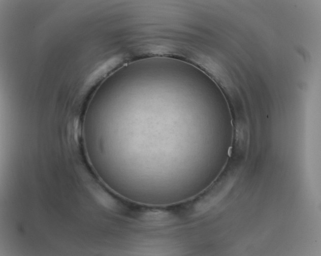 X0000114410397200910161211