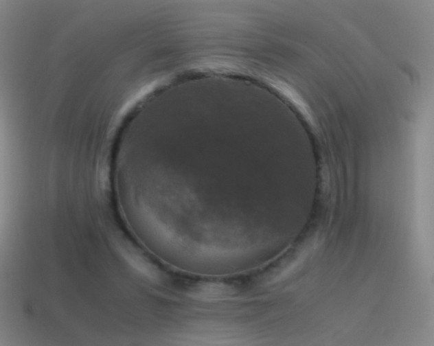 X0000114410399200910161211