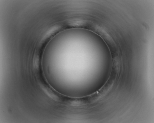 X0000114410400200910161211
