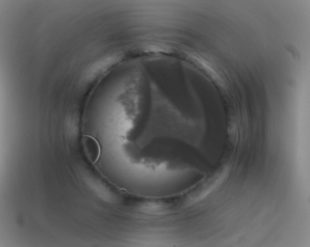 X0000114410402200910161211