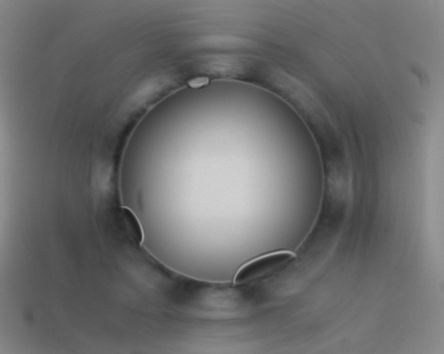 X0000114410403200910161211