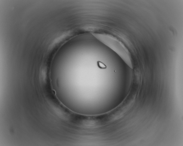 X0000114410404200910161211