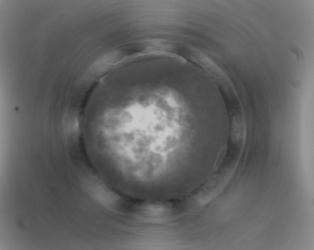 X0000114410405200910161211
