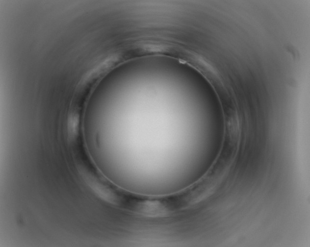 X0000114410406200910161211