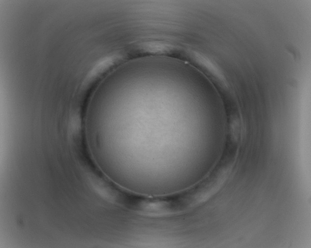 X0000114410407200910161211