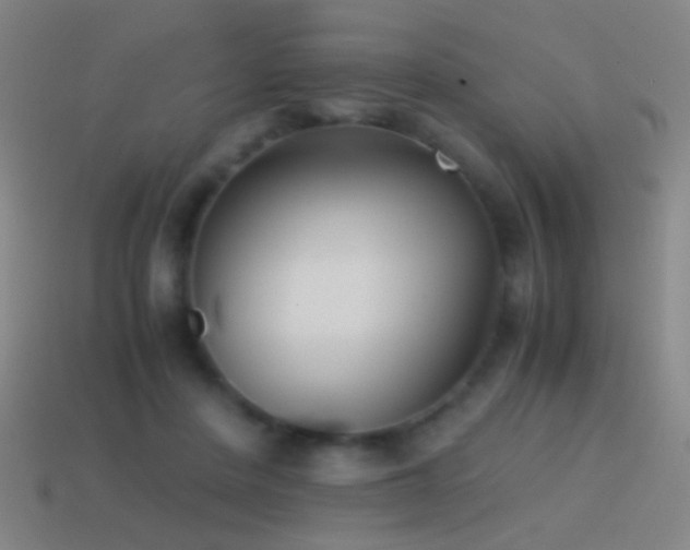 X0000114410408200910161211