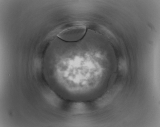 X0000114410409200910161211