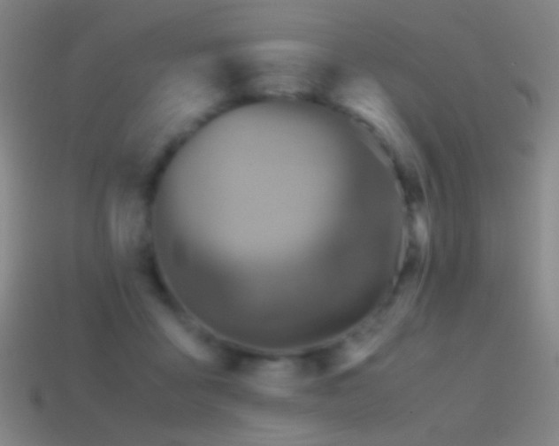 X0000114410411200910161211