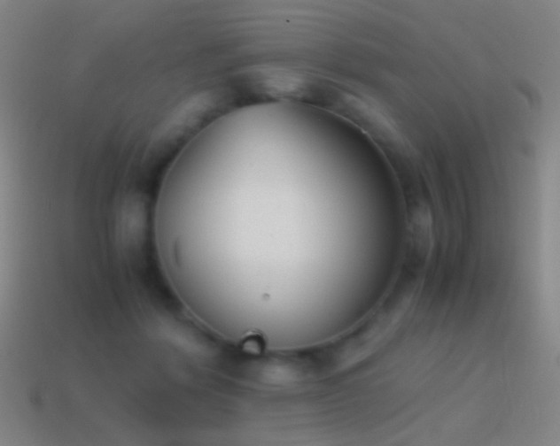 X0000114410412200910161211