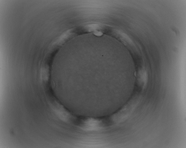 X0000114410413200910161211