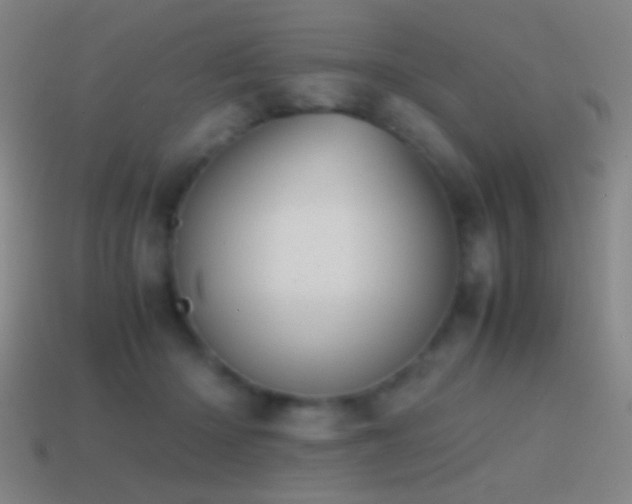 X0000114410414200910161211