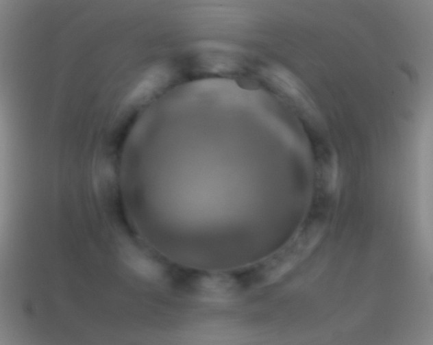 X0000114410415200910161211