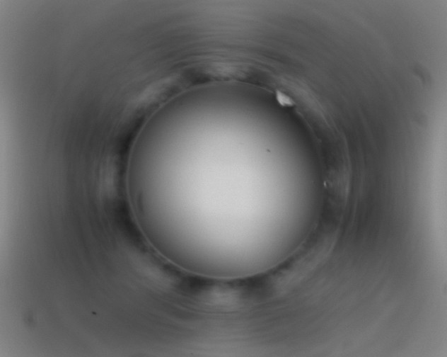 X0000114410416200910161211