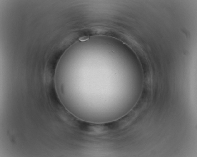 X0000114410417200910161211