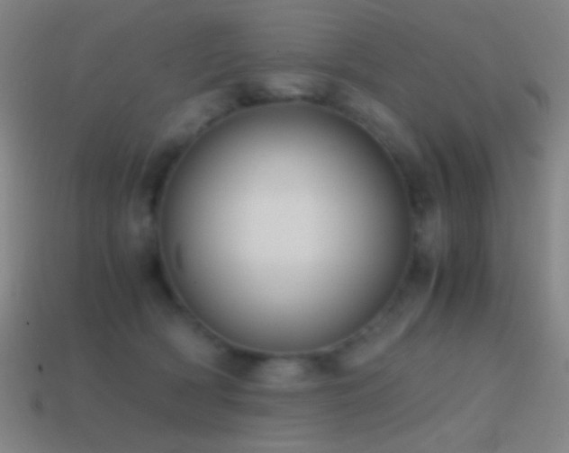 X0000114410418200910161211