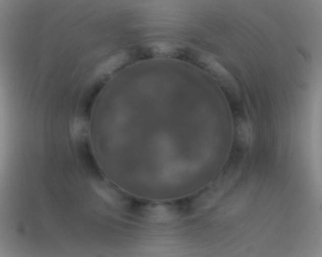 X0000114410419200910161211