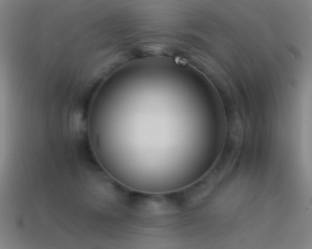 X0000114410420200910161211