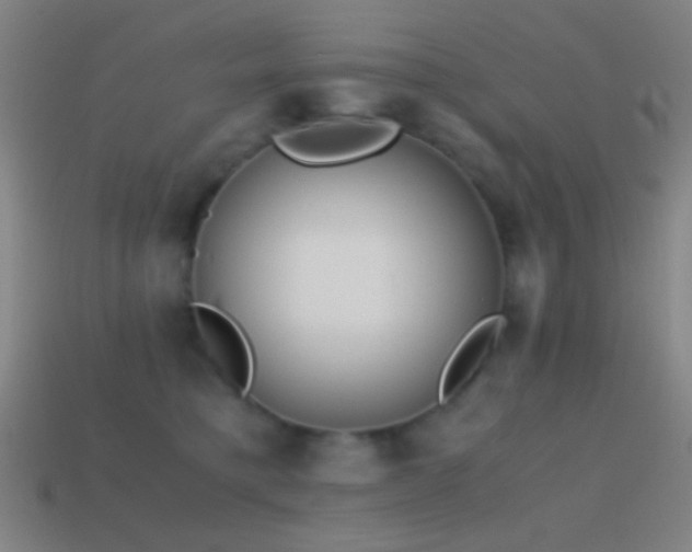 X0000114410421200910161211