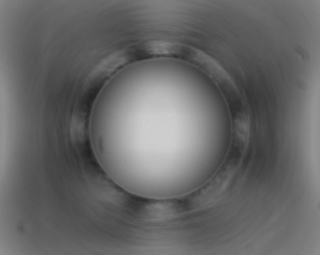 X0000114410422200910161211