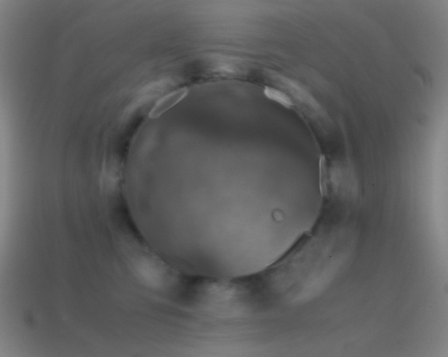 X0000114410423200910161211