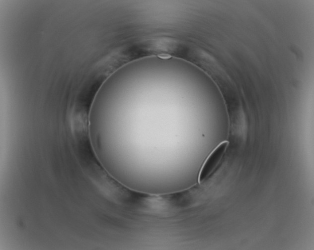 X0000114410425200910161211