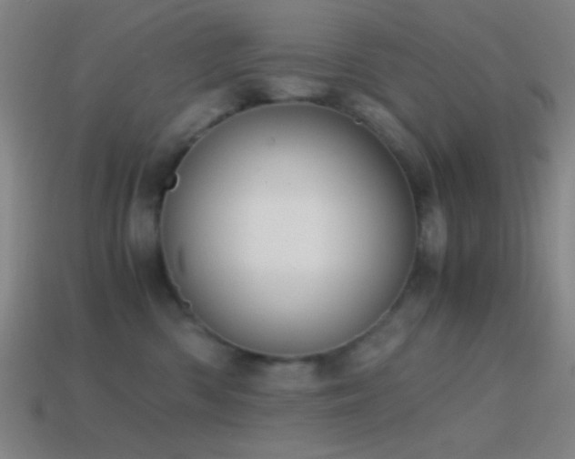 X0000114410426200910161211