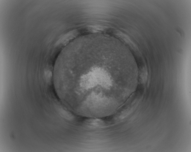 X0000114410427200910161211