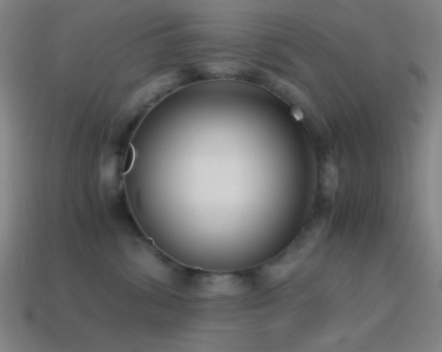 X0000114410428200910161211