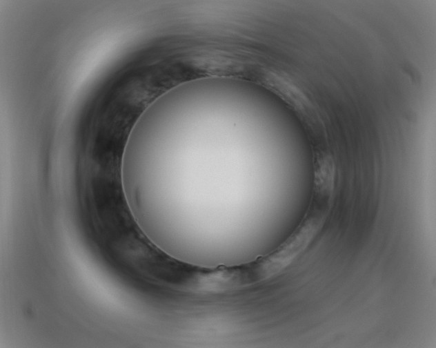 X0000114410430200910161211