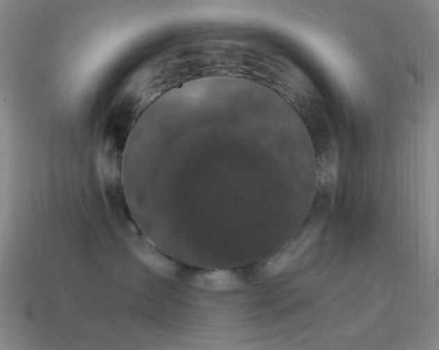 X0000114410431200910161211