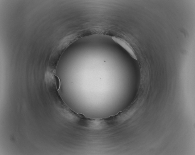 X0000114410432200910161211