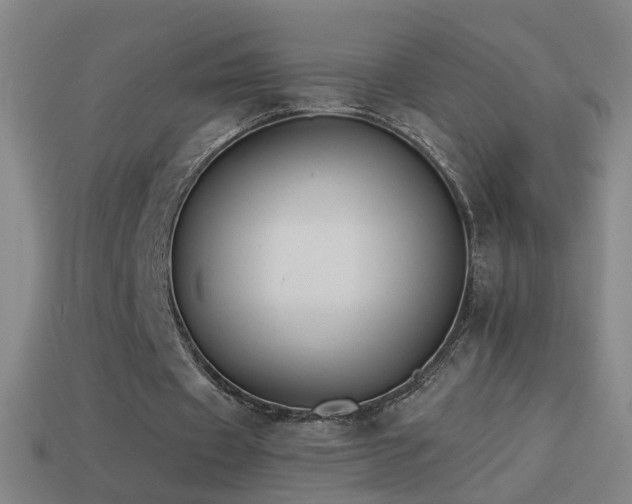 X0000114410433200910161210