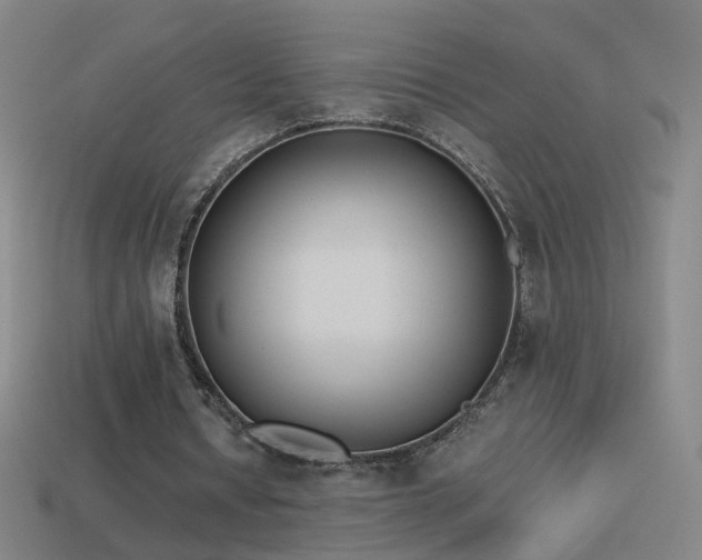 X0000114410434200910161210