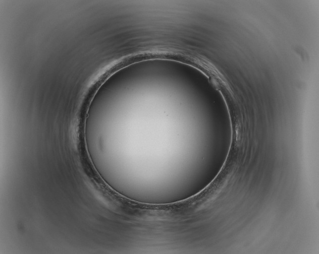 X0000114410436200910161210