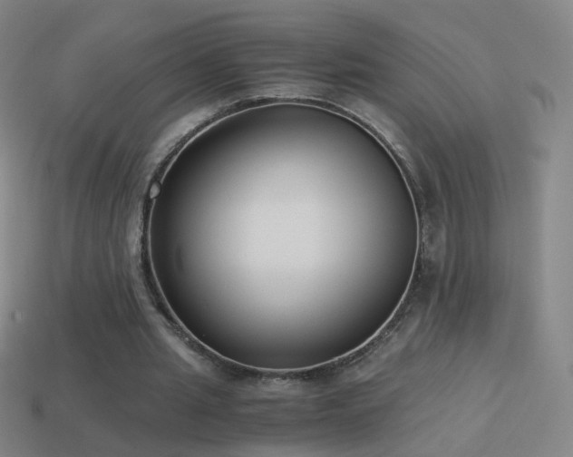 X0000114410437200910161210