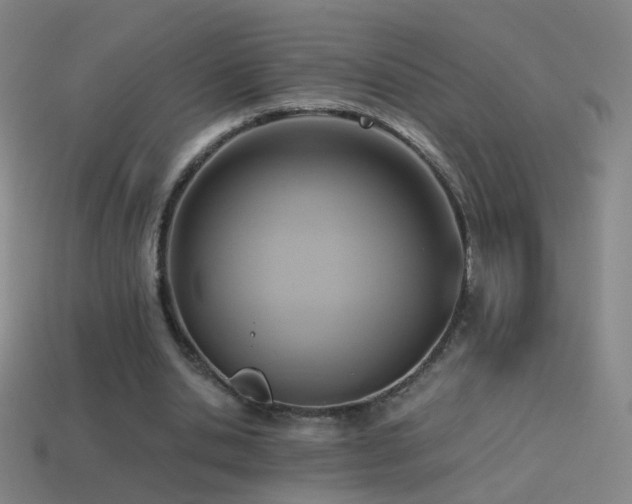 X0000114410438200910161210