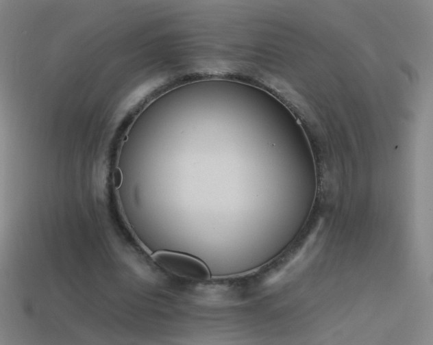 X0000114410440200910161210