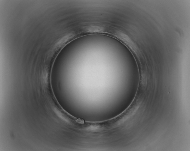 X0000114410441200910161210