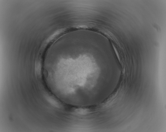 X0000114410444200910161210