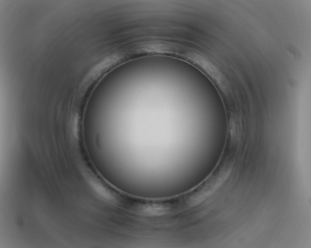X0000114410445200910161210