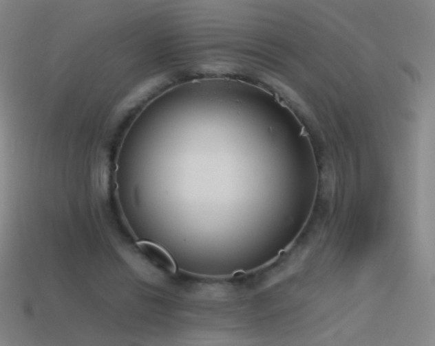 X0000114410446200910161210