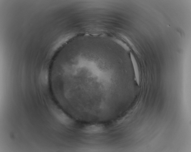 X0000114410447200910161210