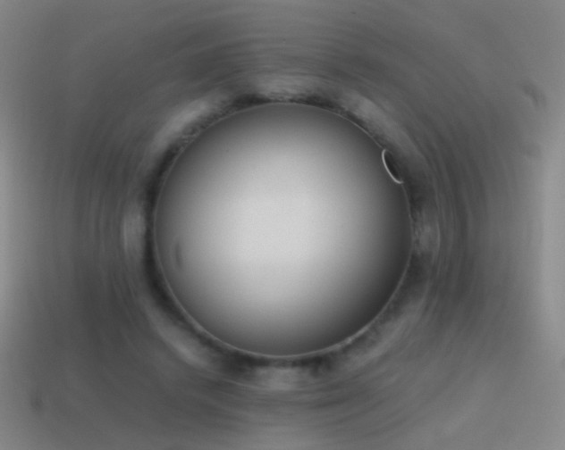 X0000114410448200910161210