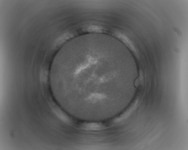 X0000114410449200910161210
