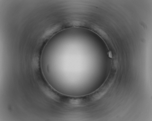 X0000114410450200910161210