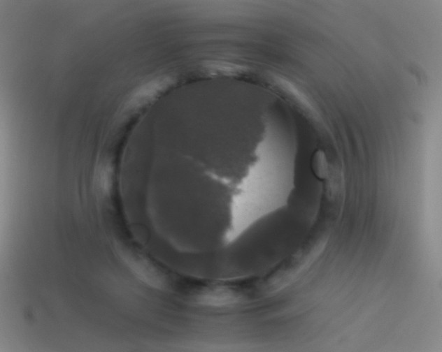 X0000114410451200910161210