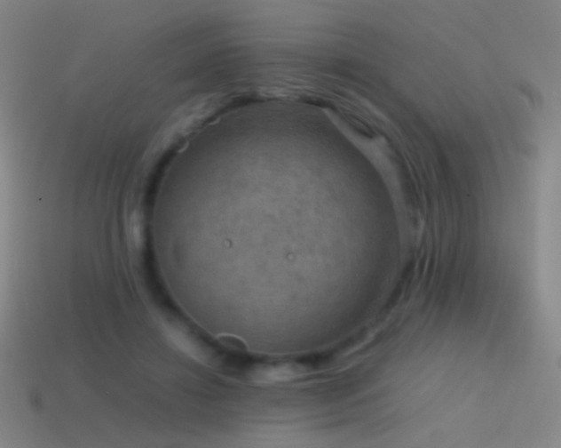 X0000114410452200910161210